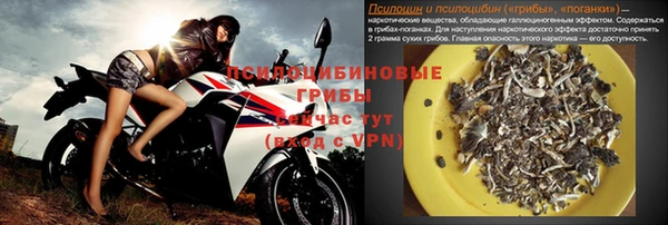 молекула духа Абинск