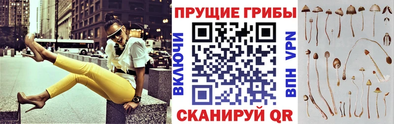Псилоцибиновые грибы мухоморы  хочу наркоту  Усть-Катав 
